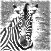 Digital Painting Zebra von kattobello