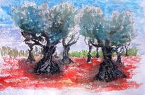 Ölbäume in Catalonien von Gerhard Stolpa