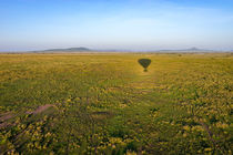 Balloon flight by Pieter Tel