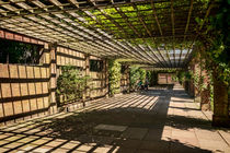 The Sun Pavilion Terrace von Colin Metcalf