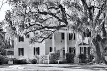 Frampton Plantation House by O.L.Sanders Photography