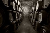 Barrels of Porto  by Rob Hawkins