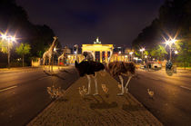 Sträuße und Giraffen am Brandenburger Tor in Berlin von Thomas Stracke