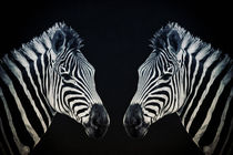 Twins by AD DESIGN Photo + PhotoArt