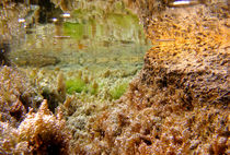 Underwater von leemoon
