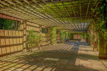 The Sun Pavilion Terrace von Colin Metcalf