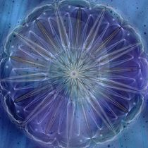 Mandala - Sky flower night by Chris Berger