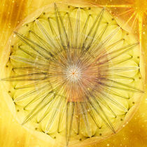 Mandala - sky flower sun by Chris Berger