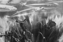Waterworld monochrom von Petra Dreiling-Schewe