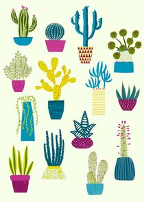 Cactus Garden by Nic Squirrell