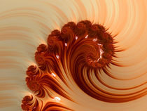 Orange Nautilus by Elisabeth  Lucas