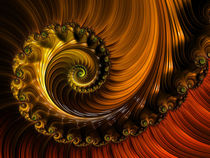 Copper Whirl by Elisabeth  Lucas