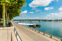 Rheinuferpromenade Mainz 65 von Erhard Hess
