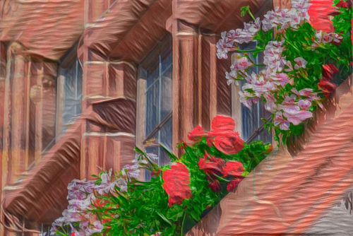 Windows-and-flowers