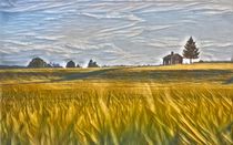 Field in the Horizon by David Frigerio