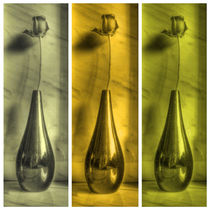 Rose Triptych in Yellow by Colin Metcalf