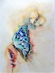 Schmetterling von Ingrid Brändle