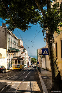 in the streets of Lisbon by Sandro S. Selig