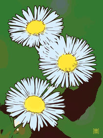 Blumen Poster Gänseblümchen grün by Robert H. Biedermann