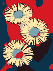 Blumen Poster Gänseblümchen rot blau WelikeFlowers von Robert H. Biedermann