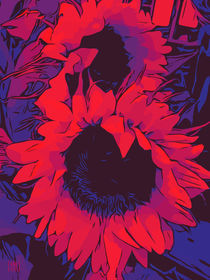 Blumen Poster „Two red Sunflowers“ von Robert H. Biedermann