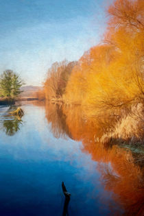 Winter Sun on the Aire by Colin Metcalf