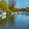 The-thames-at-goring