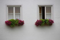 Zwei Fenster by stephiii