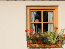 Fenster by stephiii