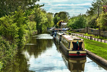 The Oxford Canal At Thrupp by Ian Lewis