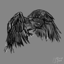 Raven von MikeJimmy de Bruin