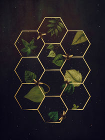 Bees in Space by Sybille Sterk
