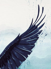 Feathers and Wings: Raven's Wing by Sybille Sterk