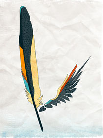 Feathers and Wings: Coloured feather and wing von Sybille Sterk