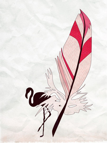 Feathers-flamingo-c-sybillesterk