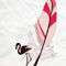 Feathers-flamingo-c-sybillesterk