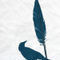 Feathers-raven-c-sybillesterk