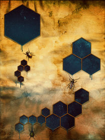 The Decay of the Bee by Sybille Sterk