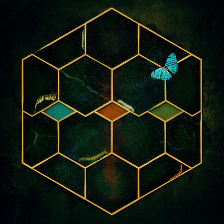 Honeycombwindowtospace-c-sybillesterk