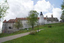 Schloss Heidenheim 3 von kattobello