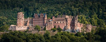 Heidelberger Schloss by Stephan Hockenmaier