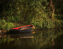 Dinghy On The Oxford Canal by Ian Lewis