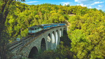 Train on Zampach viaduct by Tomas Gregor