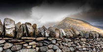 Welsh Mountain Country von John Williams