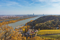 View from Leopoldsberg over Danube in Vienna by Silvia Eder
