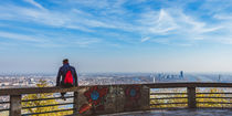 Man enjoying view over Danube in Vienna from top of Leopoldsberg von Silvia Eder