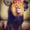 The-royal-lion