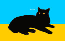 Cat on Yellow and Sky Blue by zelko radic