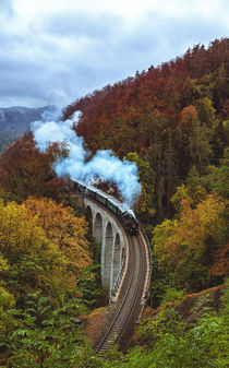 Steam train on Zampach viaduct by Tomas Gregor