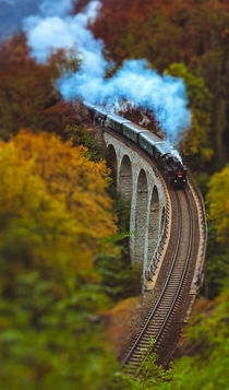 Steam train on Zampach viaduct by Tomas Gregor